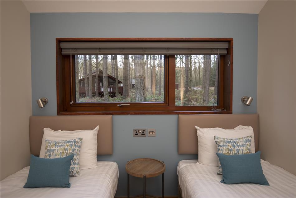 silver-birch-at-thorpe-forest-in-norfolk-with-hot-tub-cottage