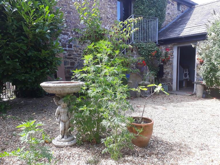 The garden at Lazy Hare at Jen’s Orchard in St Giles On The Heath