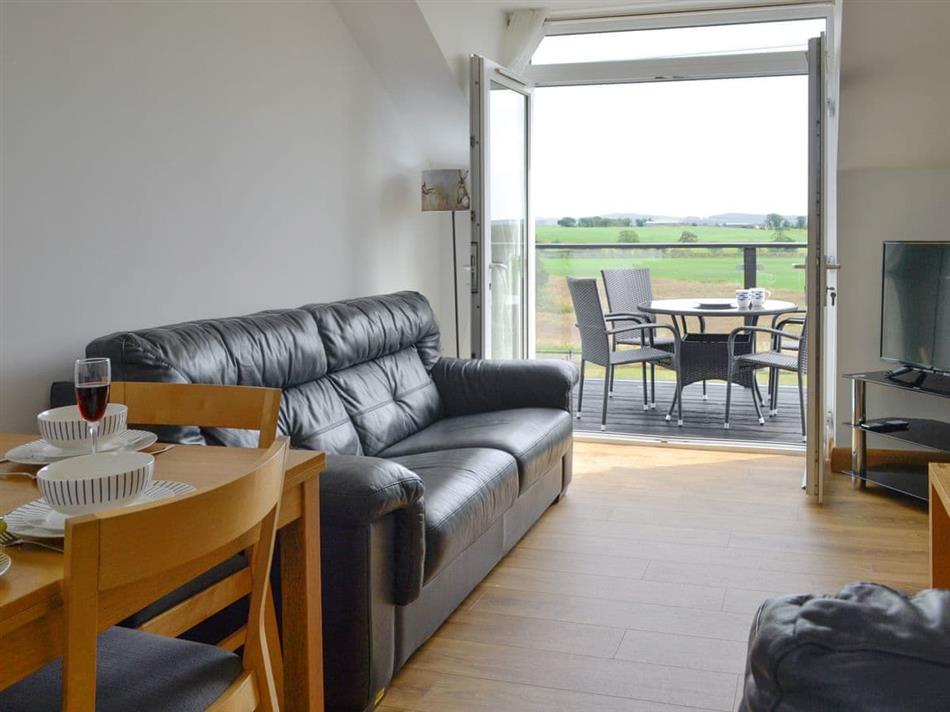 Gin Case (Ref UK34871) in Gin Case, Dumfries and Galloway Pet