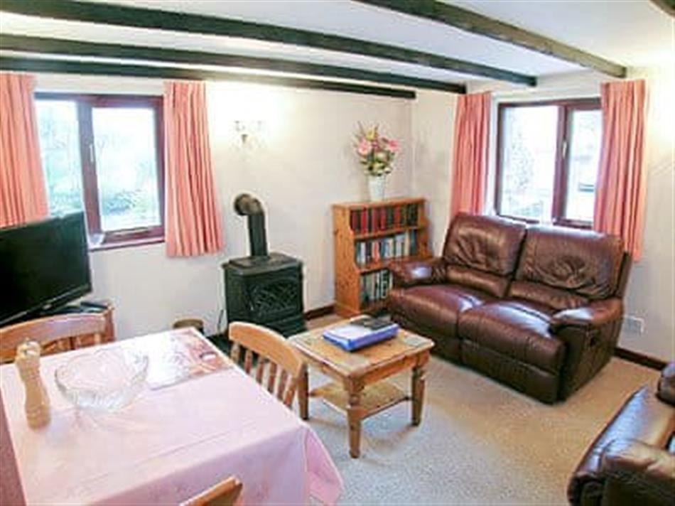 Kingfisher (Ref HSM) in Great Torrington, North Devon. Pet Friendly