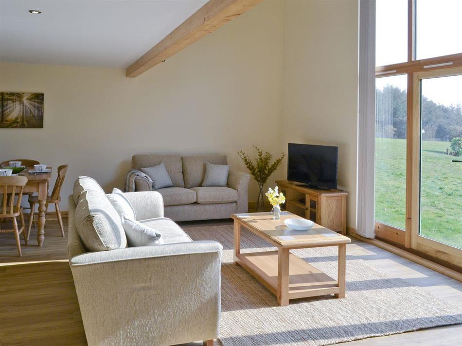 Living room in Springwater Lakes - Kingfisher Lodge, Hainford near Norwich